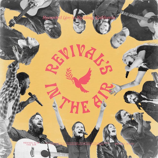 Revival's In The Air (Live) cover