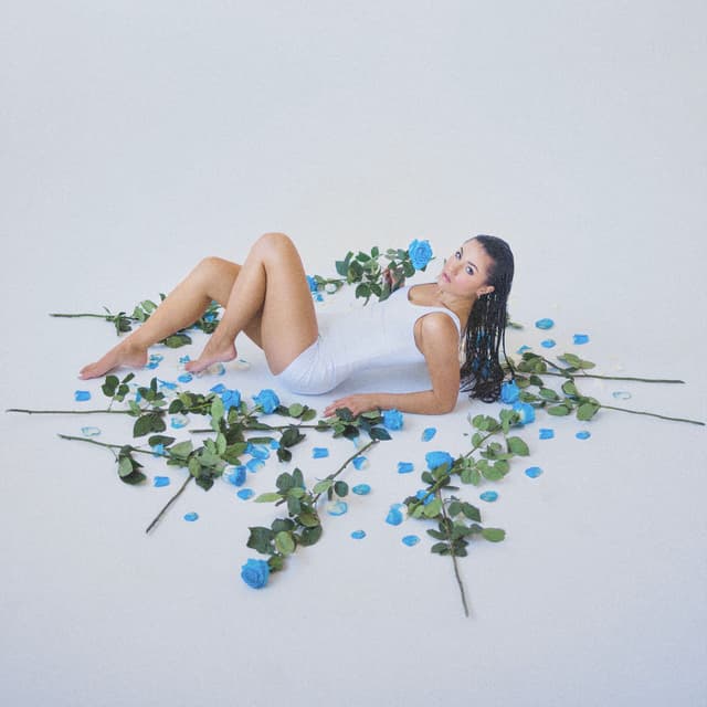 petals album cover