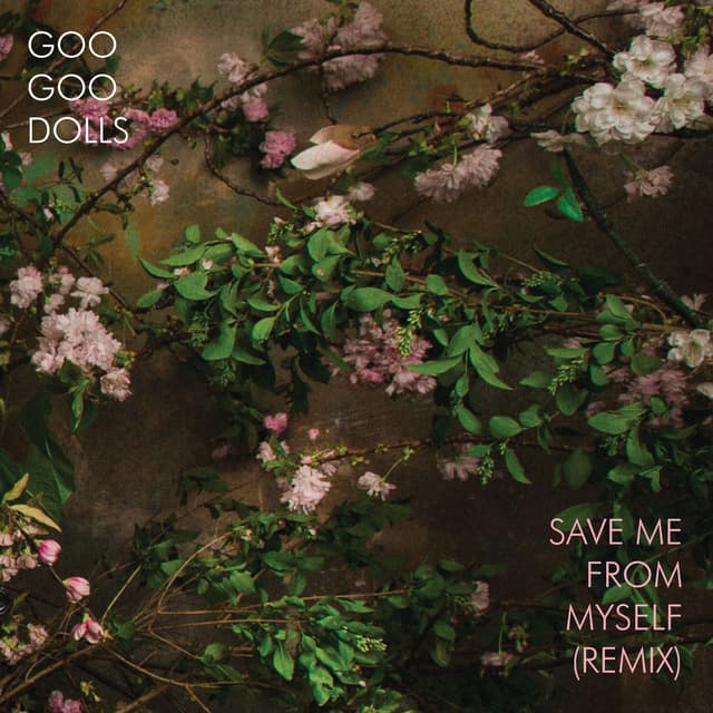 Save Me From Myself (Remix) cover