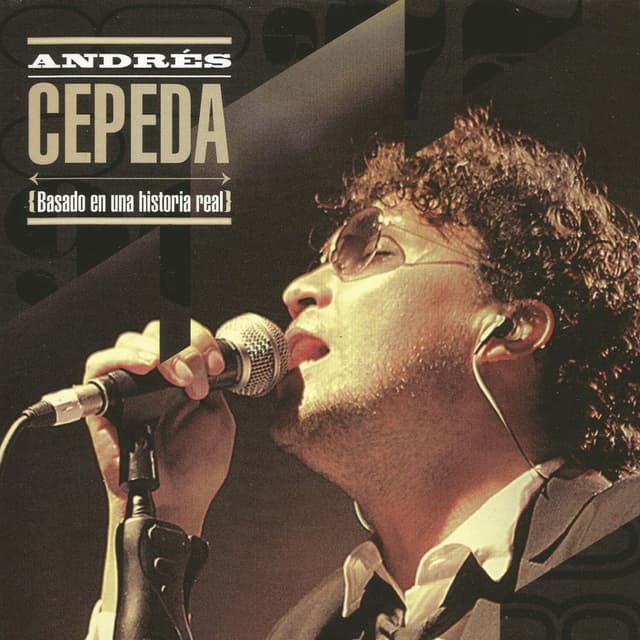 Basado en una historia real cover