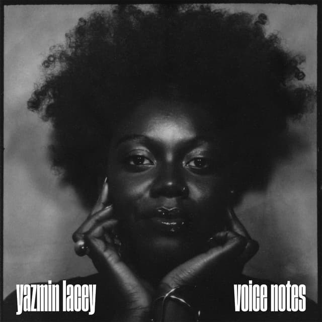 Voice Notes album cover