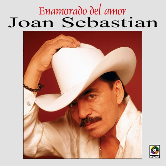 Enamorado Del Amor cover