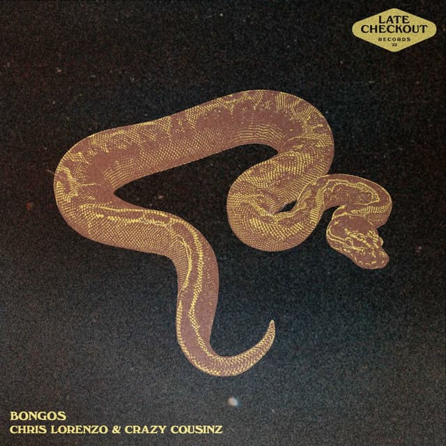 Bongos cover