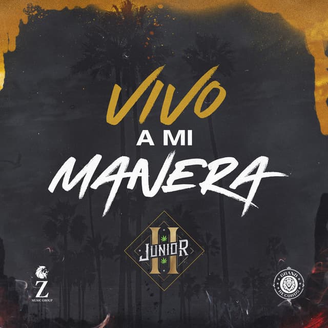Vivo a Mi Manera cover