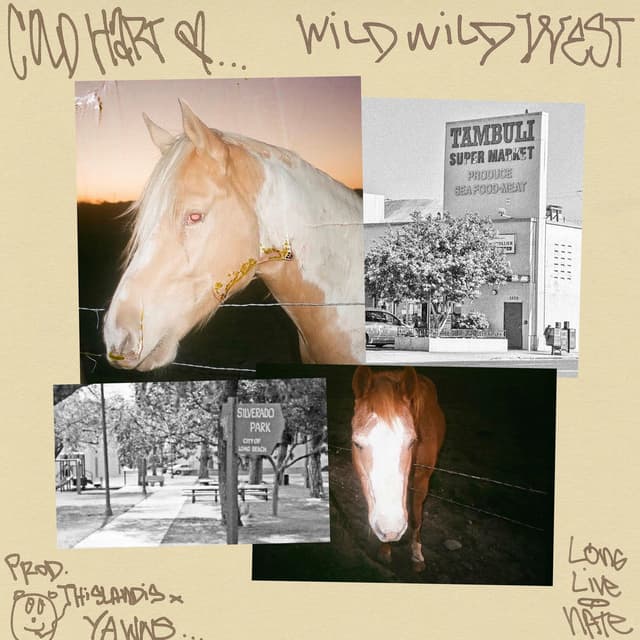 Wild Wild West cover