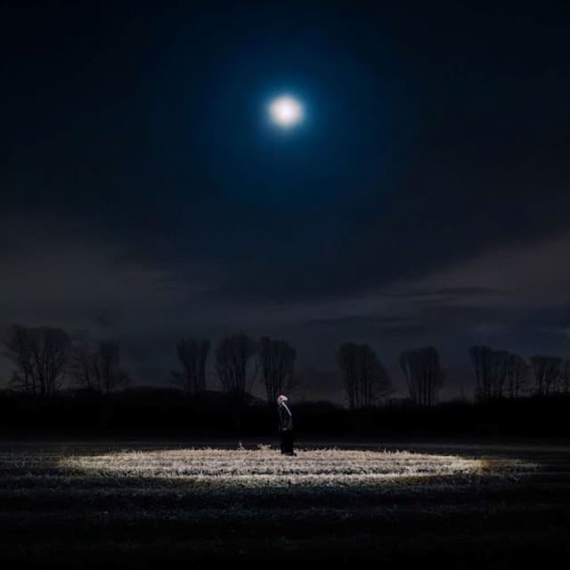 Night Light cover