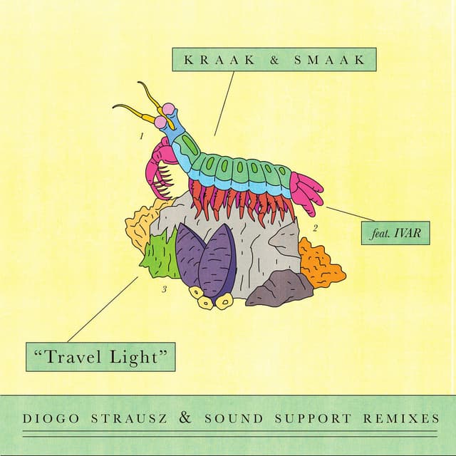 Travel Light (Diogo Strausz & Sound Support Remixes) cover
