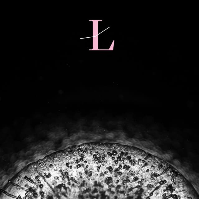 Lux: Refractions cover