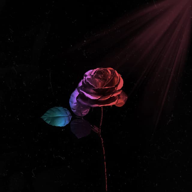 Can't Lie (Sped Up) cover