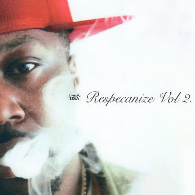 Respecanize Vol. 2 cover