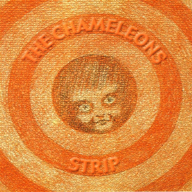 Strip cover
