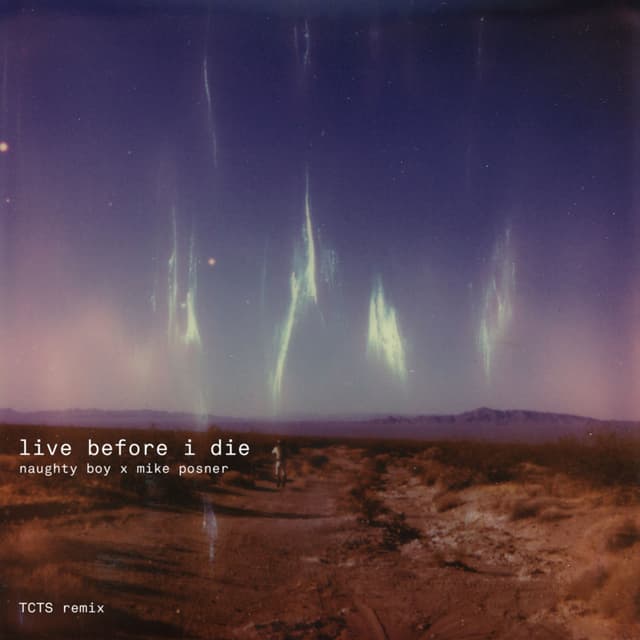 Live Before I Die (Naughty Boy x Mike Posner / TCTS Remix) cover