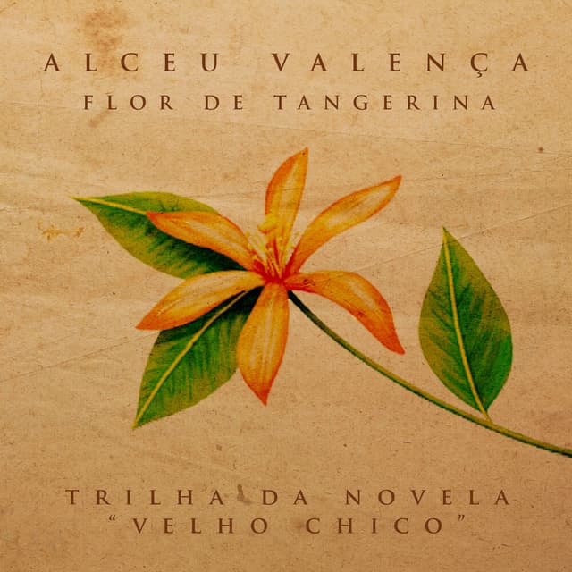 Flor de Tangerina - Single cover