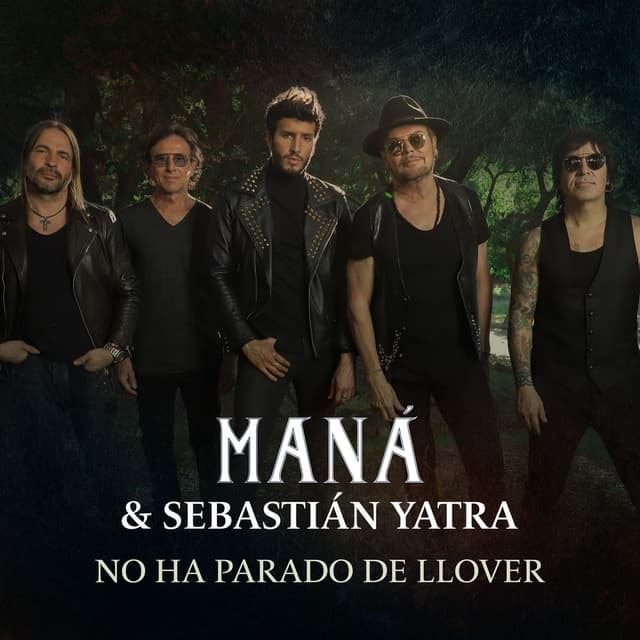 No Ha Parado De Llover cover
