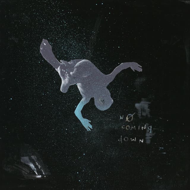 No Coming Down cover