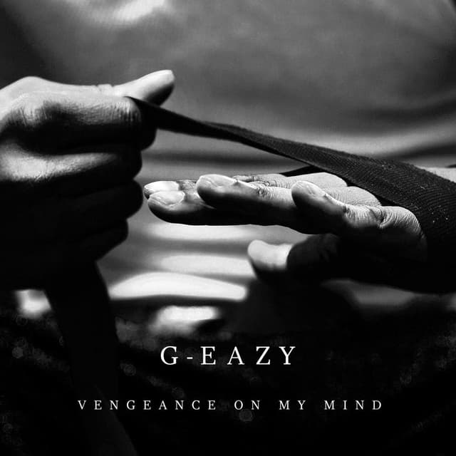 Vengeance On My Mind (feat. Dana) cover