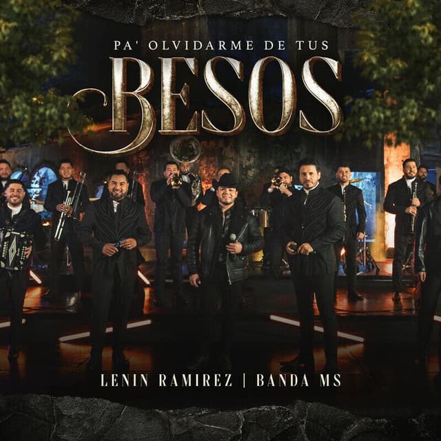Pa' olvidarme de tus besos cover