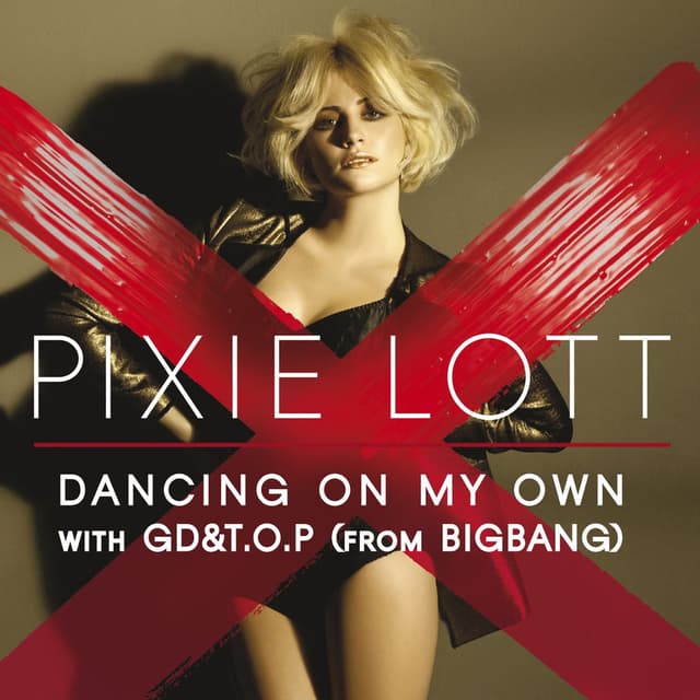 Dancing On My Own (with GD&T.O.P from BIGBANG) cover