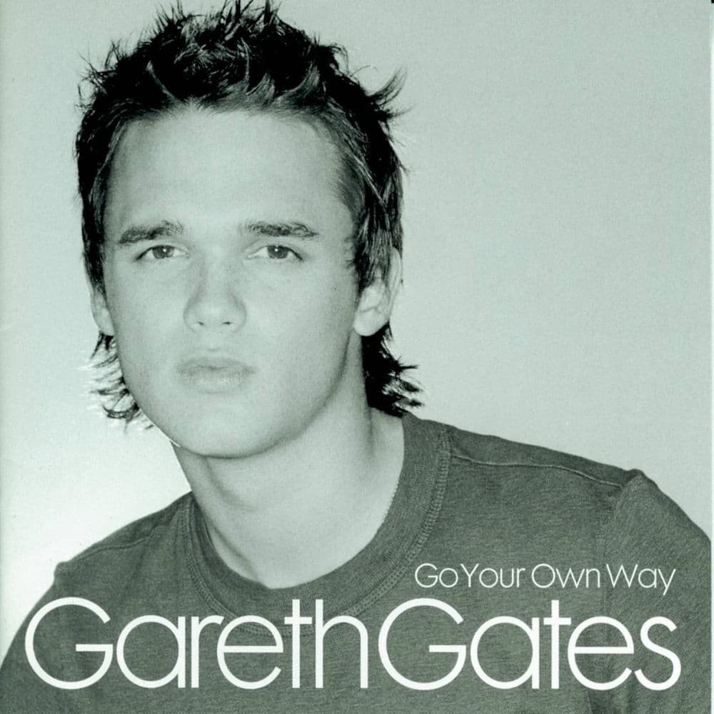 Go Your Own Way cover
