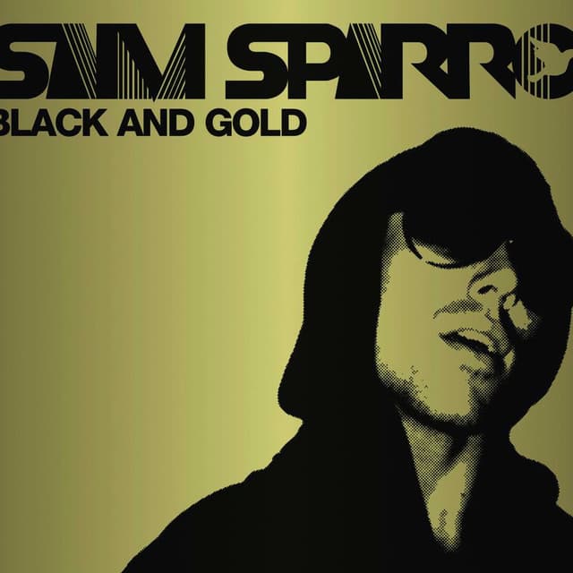 Black & Gold cover