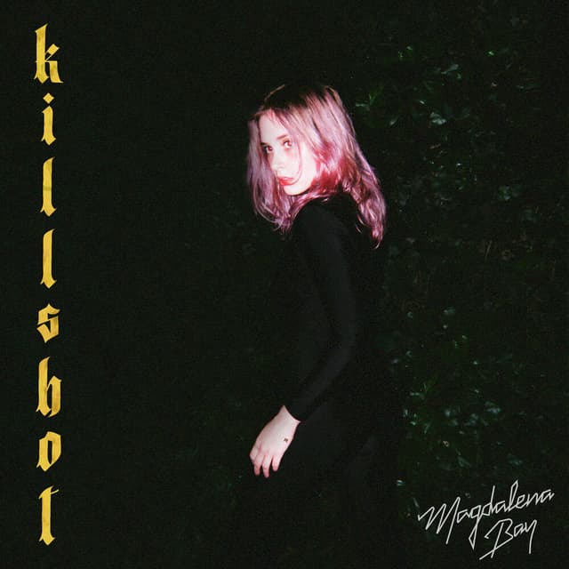 Killshot cover