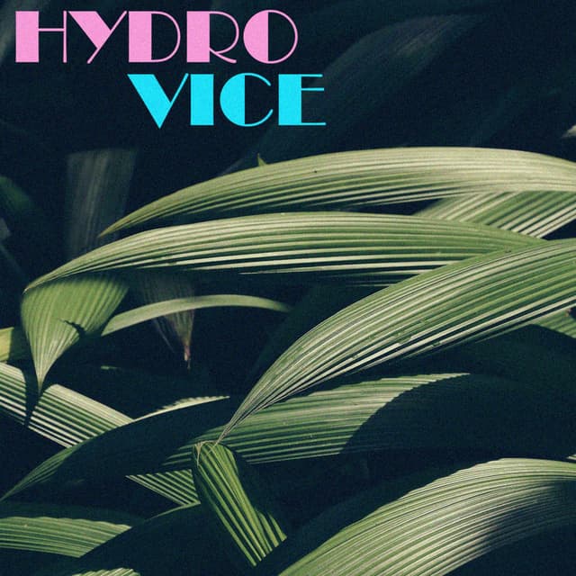 Hydro Vice cover