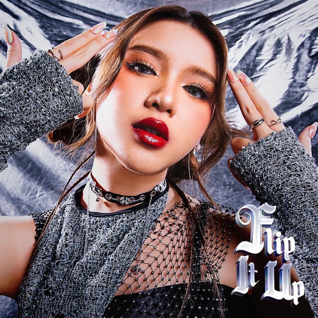 Flip It Up cover