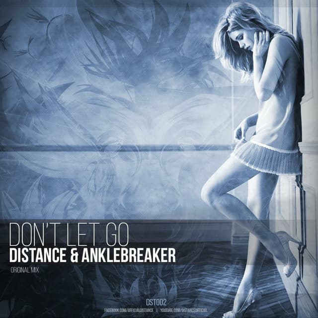 Don't Let Go (feat. Anklebreaker) cover
