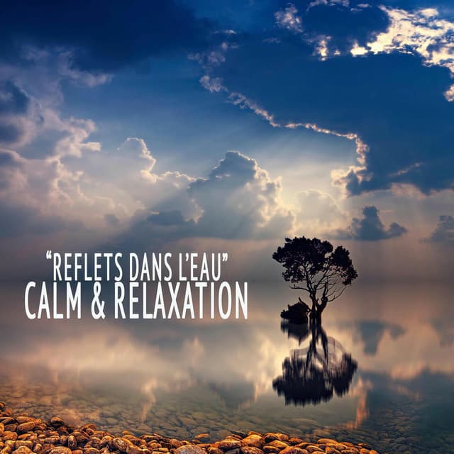 "Reflets dans l'eau" - Calm & Relaxation cover