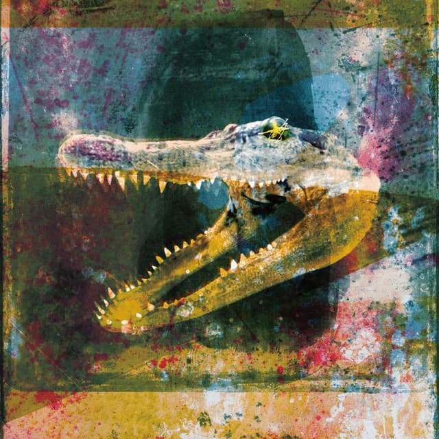 Dry Fantasy cover