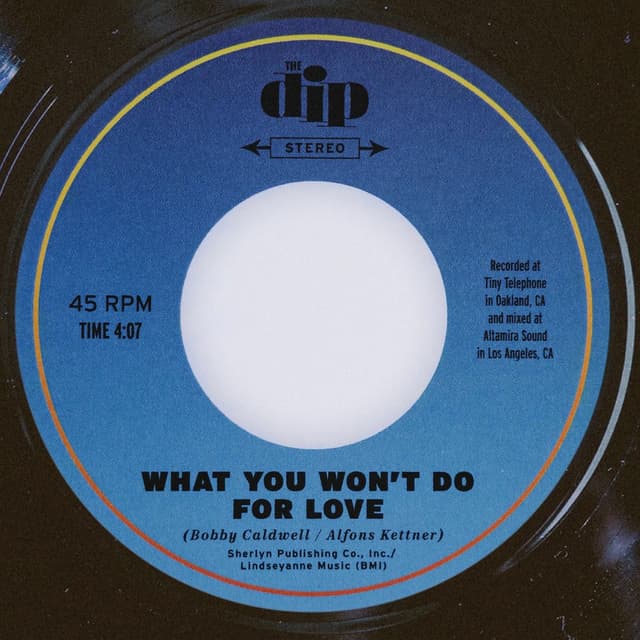 What You Won't Do for Love cover