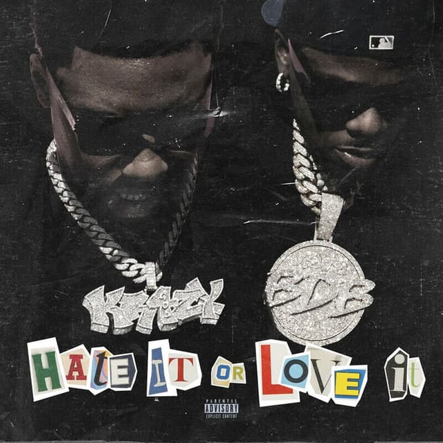 Hate It or Love It cover