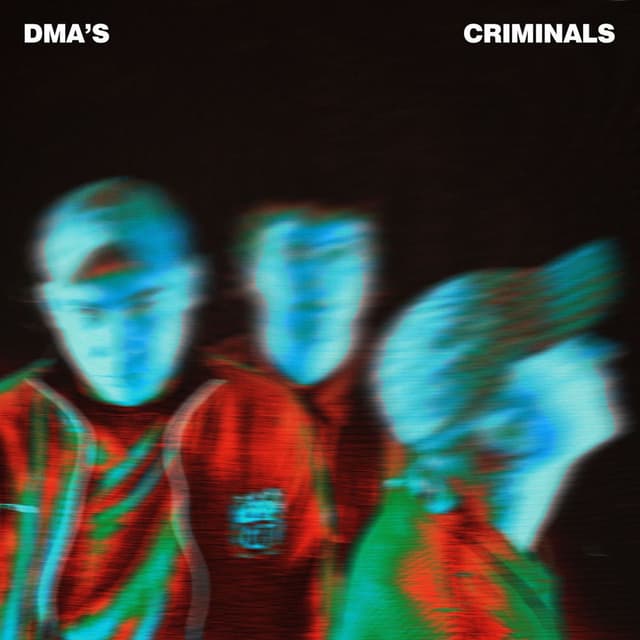 Criminals cover