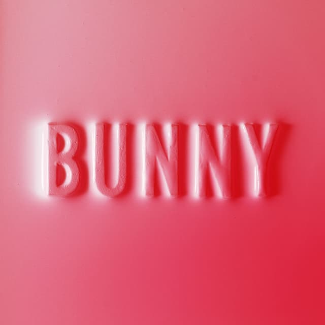 Bunny cover