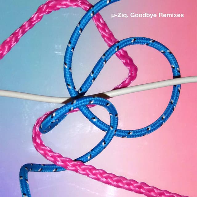 Goodbye Remixes cover
