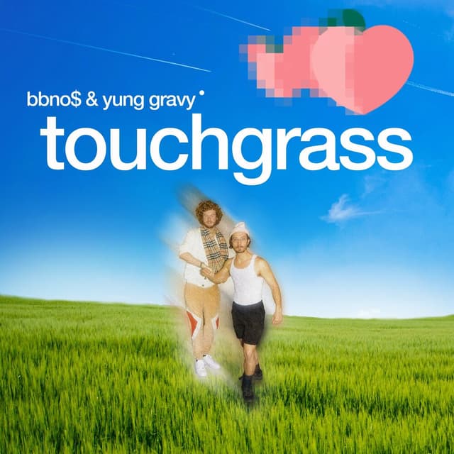 touch grass (feat. Yung Gravy) cover