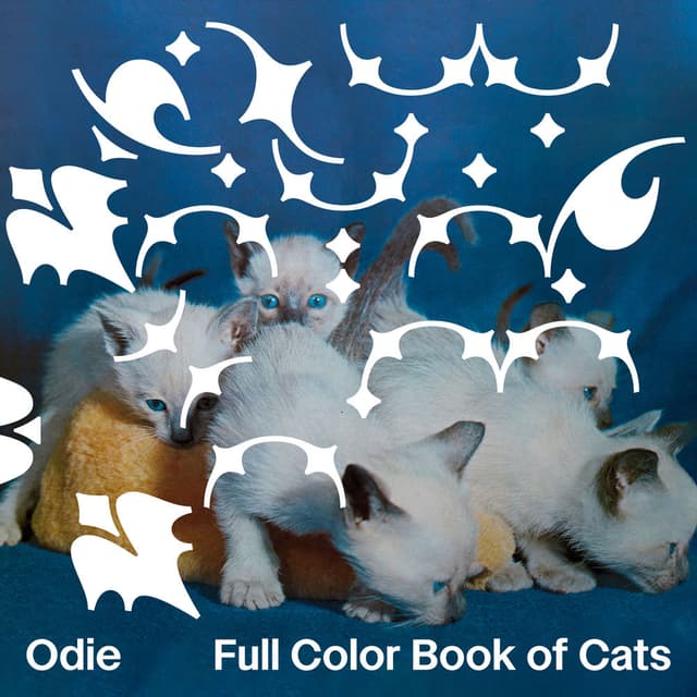 Full Color Book of Cats cover