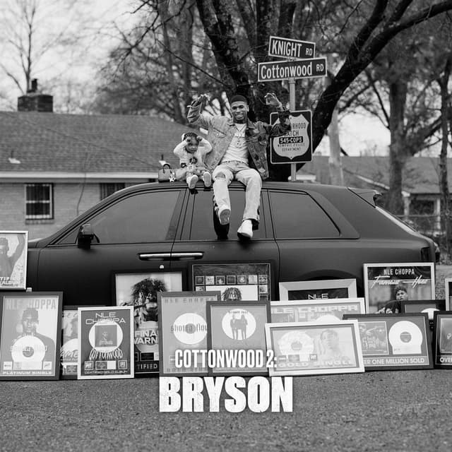 Cottonwood 2: BRYSON cover