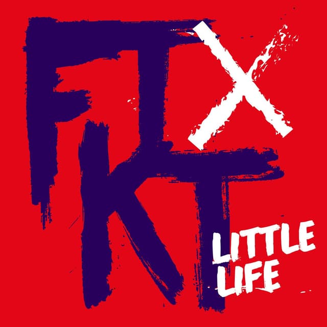 Little Life cover