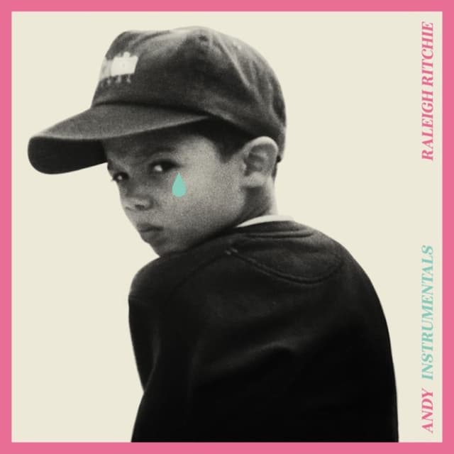 Andy (Instrumentals) album cover
