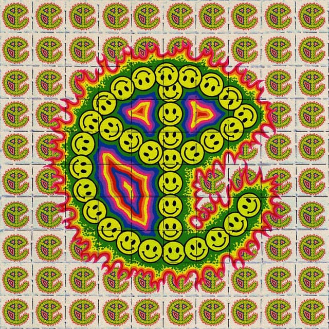 LSD cover
