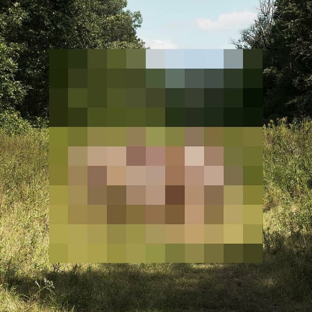 Goodness album cover