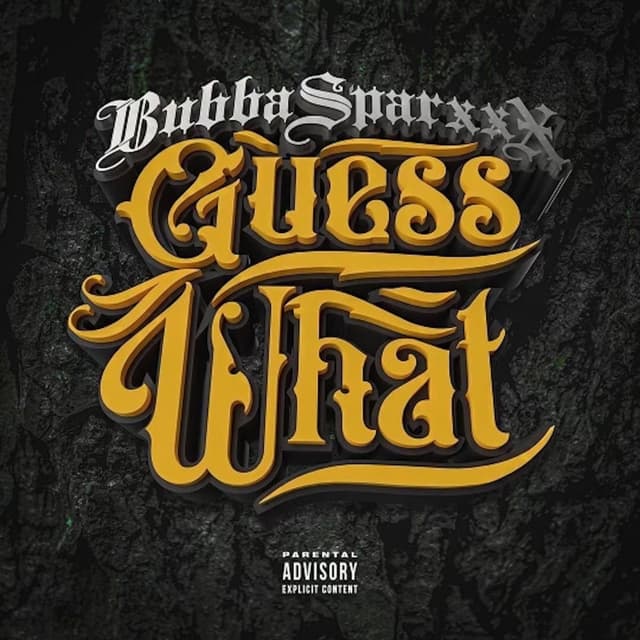 Guess What cover