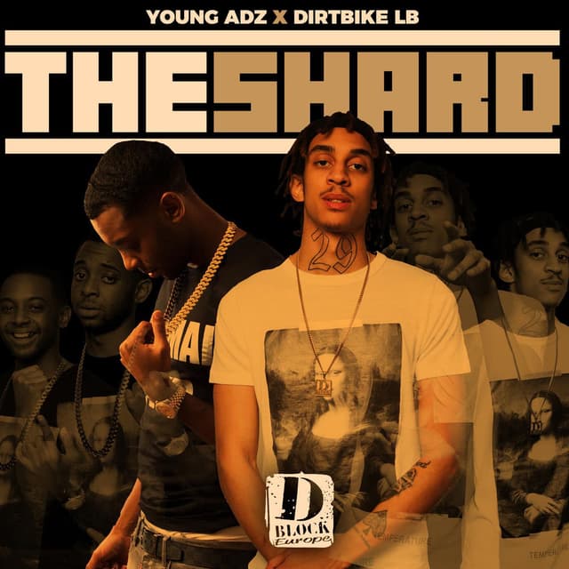 The Shard cover