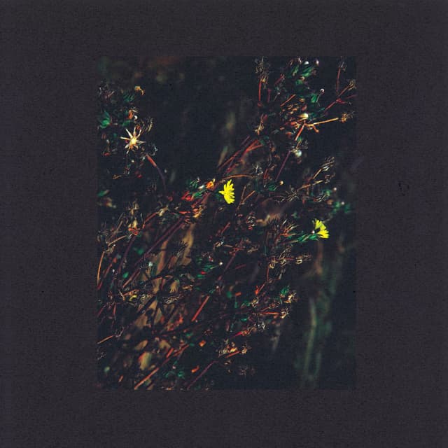 The Passenger cover