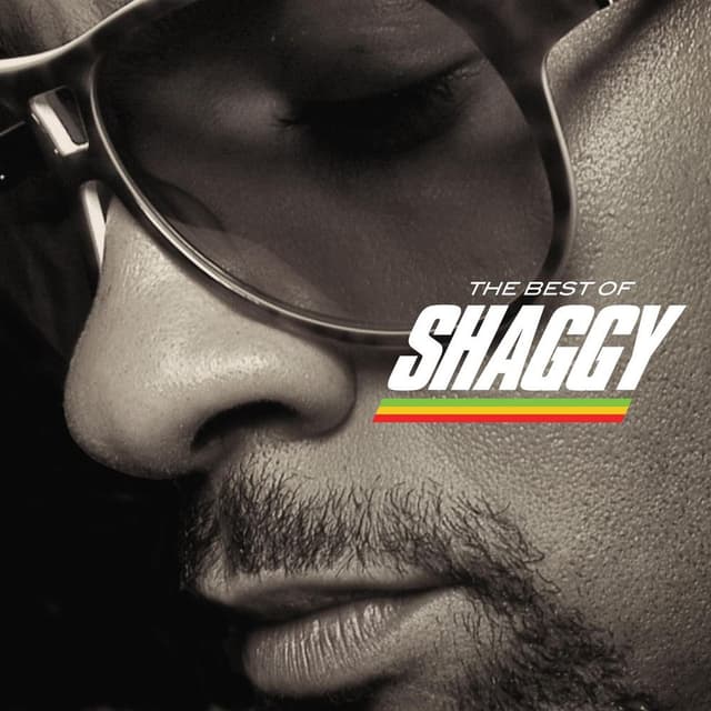 The Best Of Shaggy cover