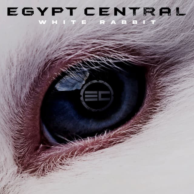 White Rabbit (EC Version) album cover