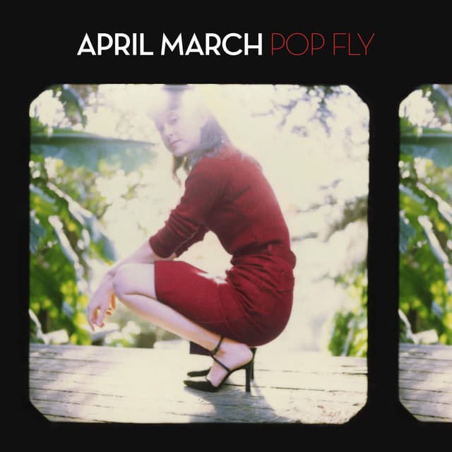 Pop Fly album cover