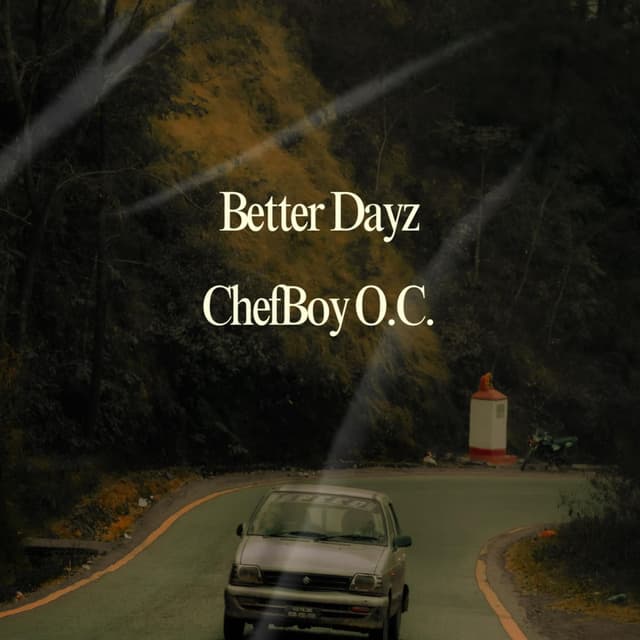 Better Dayz cover