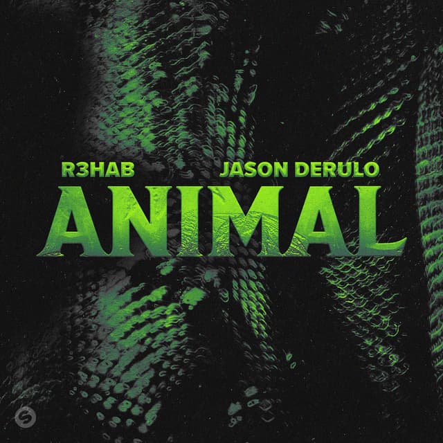 Animal album cover
